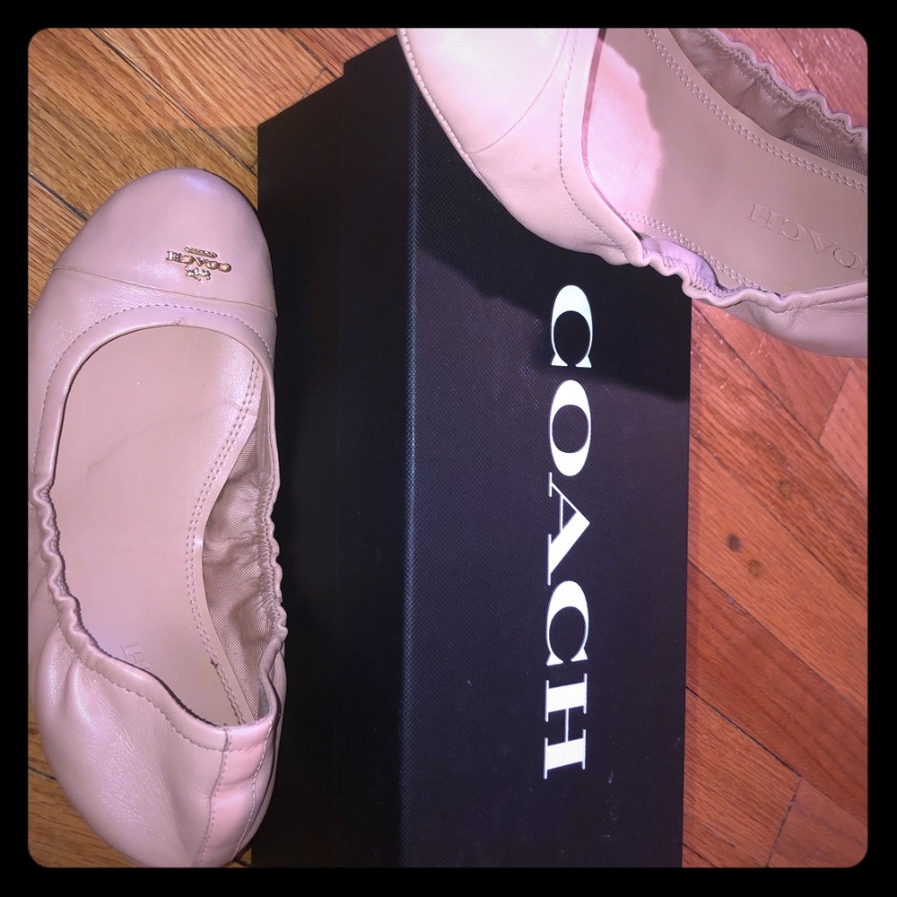 Pink Coach Ballet Flats